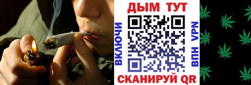 Псилоцибиновые грибы Елабуга