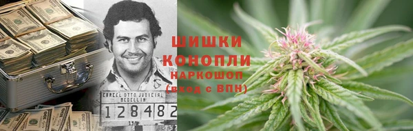 ECSTASY Алзамай