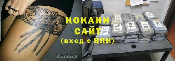 ECSTASY Алзамай