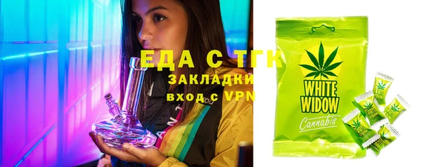 ECSTASY Алзамай