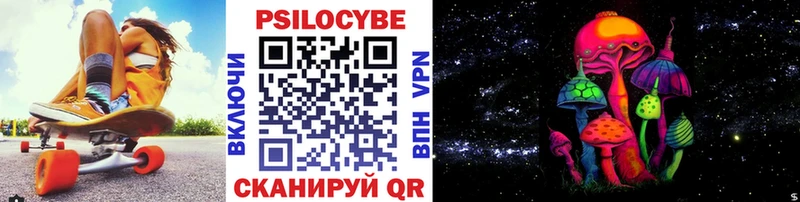 закладки Елабуга Псилоцибиновые грибы прущие грибы