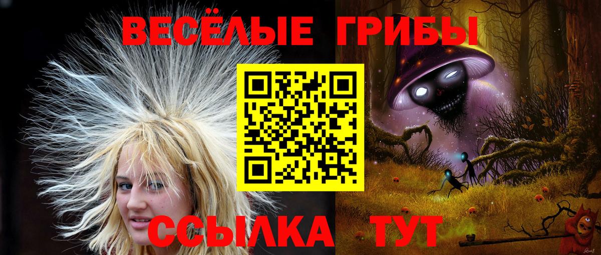 Галлюциногенные грибы Psilocybine cubensis Елабуга