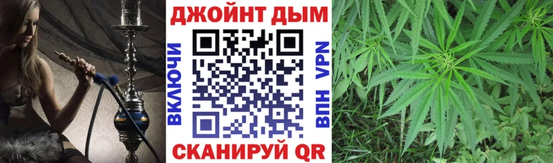 наркота  Елабуга  маркетплейс как зайти  Канабис семена 